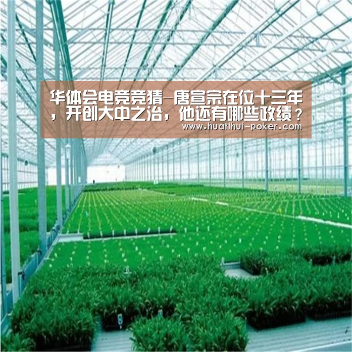 华体会电竞直播