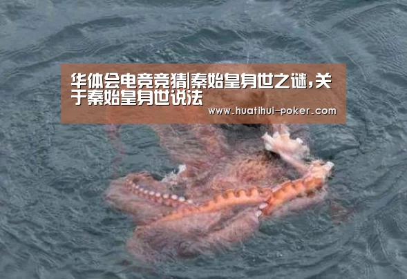 华体会电竞直播
