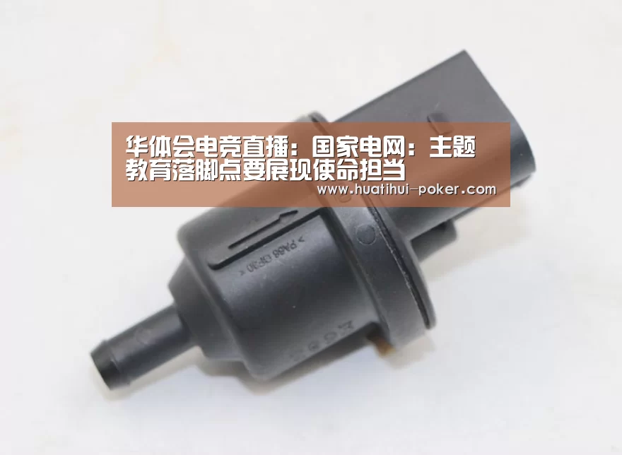 华体会电竞直播:国家电网:主题教育落脚点要展现使命担当(图3) 华体会电竞赛事