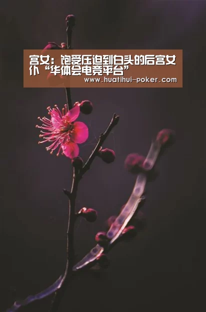 宫女:饱受压迫到白头的后宫女仆“华体会电竞平台”(图1) 华体会电竞平台